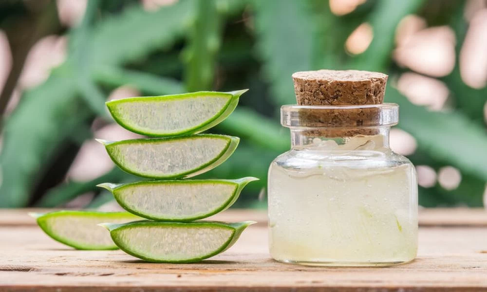 Αλόη: Τα οφέλη της για τα δόντια και τα ούλα